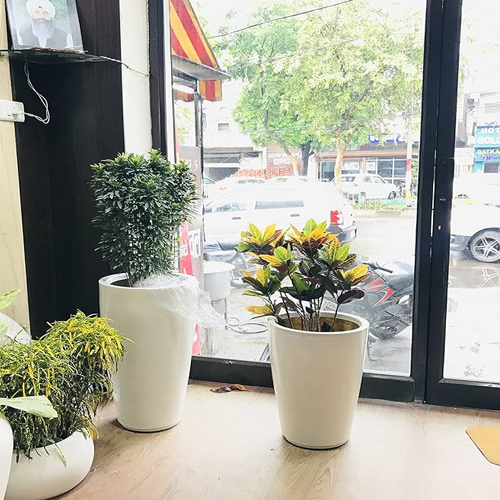 Frp Home Decor Flowers